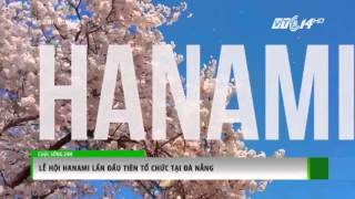 (VTC14)_Lễ hội Hanami lần đầu tiên tổ chức tại Đà Nẵng