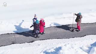 そよ風の森．極地長征