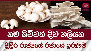 නම කිව්වත් දිව නලියන - දිලීර රාජ්‍යයේ රජුගේ ඉරණම | #rupavahininews