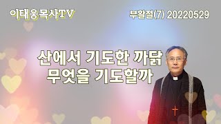 [이태웅목사TV] 유혹에 빠지지 않게 기도하라 / 부활절(7) 주일낮 20220529