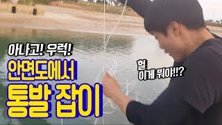 안면도 바다에 통발을 던졌더니 엄청난 놈이 잡혔다??? catch sea eels with fish traps