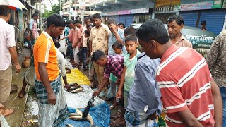 বালাগঞ্জ বোয়ালজোর বাজারারে দেশি মাছ ও সবজি দেখুন এক নজরে