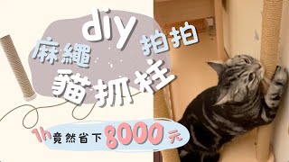 新手DIY😎拍拍『半半貓跳台～麻繩貓抓柱』～不用一小時教你現賺8000元