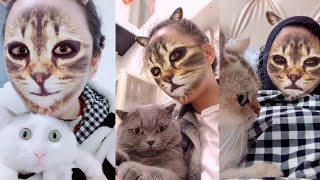 Cats' hilarious reaction when they see cat filter on owners' faces | Funny Cat Videos 2019