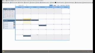 Alpha Five v11 Calendar Component Overview