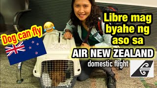 MY DOG CAN FLY | Pinay in New Zealand #pinayinnewzealand #buhaynewzealand  #pinoyabroad