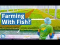 Is Aquaponics the Future of Agriculture?