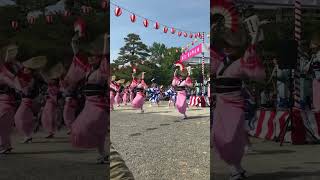 阿波踊り　春の祭典紡ぐ　阿波扇連