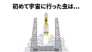 虫に関するほとんど知らない面白い雑学【簡単雑学】