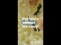 Real dairy without the cows!? 🤯🥛🧀