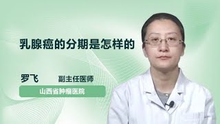 乳腺癌的分期是怎样的 罗飞 山西省肿瘤医院