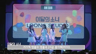 이달의소녀탐구 #449 (LOONA TV #449)