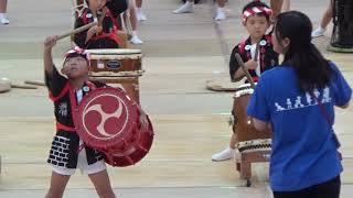 三園合同保育園和太鼓　第19回YOSAKOIかすや祭り  土曜日