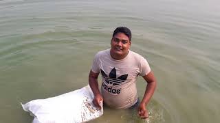 আমার বন্ধুর পুকুরে মাছ চাষ নিয়ে কিছু আলোচনা | Discuss About Fish Cultivation In Pond.