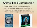 intro to animal nutrition