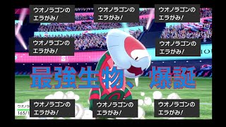 【最強生物】エラがみ打っとけばポケモン勝てる説ww【ポケモン剣盾】