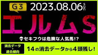 『2023 G3 エルムS 消去データ \u0026 過去傾向 』セキフウは危険な人気馬？　14の消去データから4頭残し！