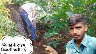 एरंडी मे पानी की सिंचाई || water irrigation in castor || Son of labour || By vasu rathwa