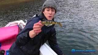 Tackle World Cod Night - Rhys Creed talks Soft Plastics for Murray Cod