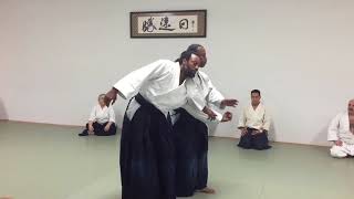 Aikido Donovan Waite Sensei New York AIKIKAI