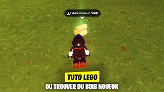 OU TROUVER DU BOIS NOUEUX ET COMMENT LE RECUPERER ! (LEGO FORTNITE)