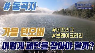 동곡지 배스낚시, 가을 턴오버 배스낚시 패턴 찾는 방법, [물아래 사기꾼]EP.15