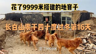 【狗行中國】花了9999米在长白山搭建的地窨子，一人15条狗过冬第16天