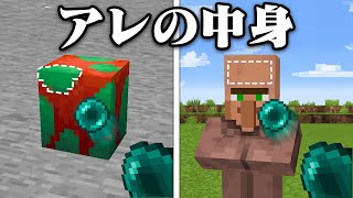 アレの中身が見れるマインクラフト【まいくら・マインクラフト】