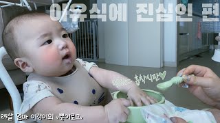 [sub|vlog] #28, a son who's serious about baby food. Rice taste 🥦 Broccoli taste