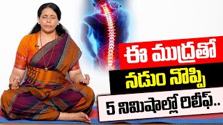ఈ ముద్రతో నడుంనొప్పి 5 నిమిషాల్లో రిలీఫ్ | Beck Pain Relief Fast | Yoga Mudra Back Pain in Telugu