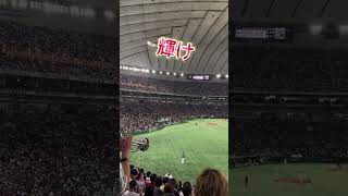 「万波中正 応援歌】北海道日本ハムファイターズ アジアプロ野球チャンピオンシップ2023