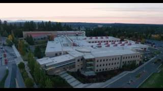 LWTech Dusk