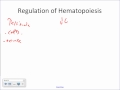 Hematopoiesis and Erythropoiesis