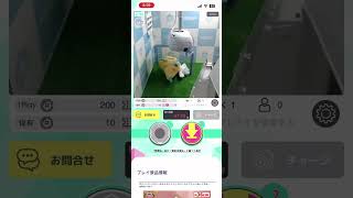 ジラーチを狙ってみた‼️（願い事ポケモンだからゲットできるかな⁉️）