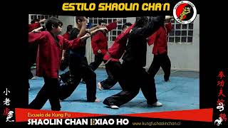 Estilo Shaolin Chan formas animales