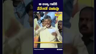 ఆ బచ్చా గాడికి నేనేంటో చూపిస్తా | #chandrababu #ysjagan #ysrcp #apnews #apelections2024 #tdp