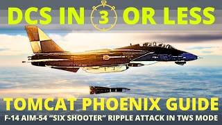 F-14 Phoenix Tutorial - Tomcat AIM54 Ripple - DCS in 3 Or Less