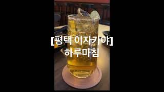 [평택 신상 이자카야] 하루마침, 차돌박이대창전골에 하이볼