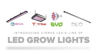 Introducing Cirrus LED Grow Lights