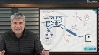 Fisiología Respiratoria (1/2) -USAMEDIC