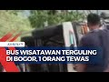 Diduga Sopir Tak Kuasai Jalanan, Bus Wisatawan Asal Jakarta Terguling di Bogor