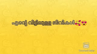 എന്റെ വീട്ടിലുള്ള ജീവികൾ😍🥰