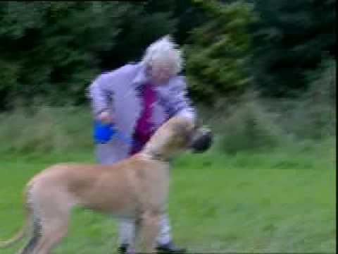 Fus Ro Dah canino