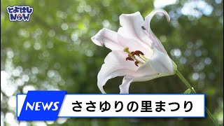 とよはしNOW　令和5年6月6日号　①ささゆりの里まつり②アオハル防災キャンプの参加者募集