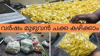 വർഷങ്ങളോളം ചക്ക പച്ചയായി സൂക്ഷിക്കാം |How to preserve Jack Fruit