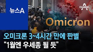 오미크론 3~4시간 만에 판별…“1월엔 우세종 될 듯” | 뉴스A