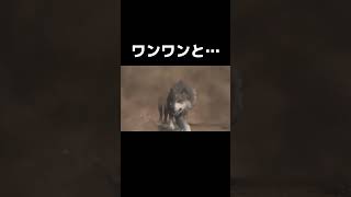 【切り抜き】🐕#ff16 #ff #ゲーム実況