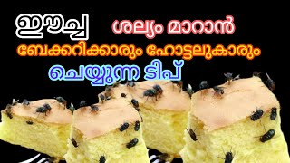 ഈച്ചയെ ഓടിക്കാൻ ബേക്കറിക്കാരും ഹോട്ടലുകാരും ചെയ്യുന്ന ടിപ്സ് /💯result /ഈച്ച ഇനി പരിസരത്തു വരില്ല