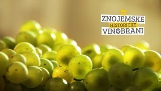 Znojemské vinobraní 2012 - oficiální video - HD