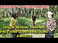 DUKUN GENDENG HADANG PERJALANAN SEMUA KE SATRIA. DAN MEMANTANG DUEL GUBES....!!!